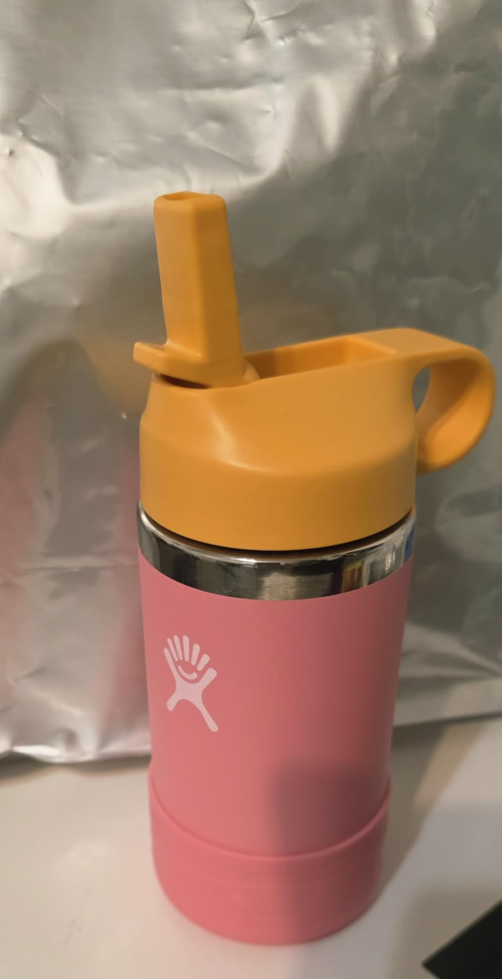 Hydro Flask Kids Water Bottle for School - Stainless Steel and Insulated with Straw Cap - 12 Oz in Anemone Purple customer photo 1