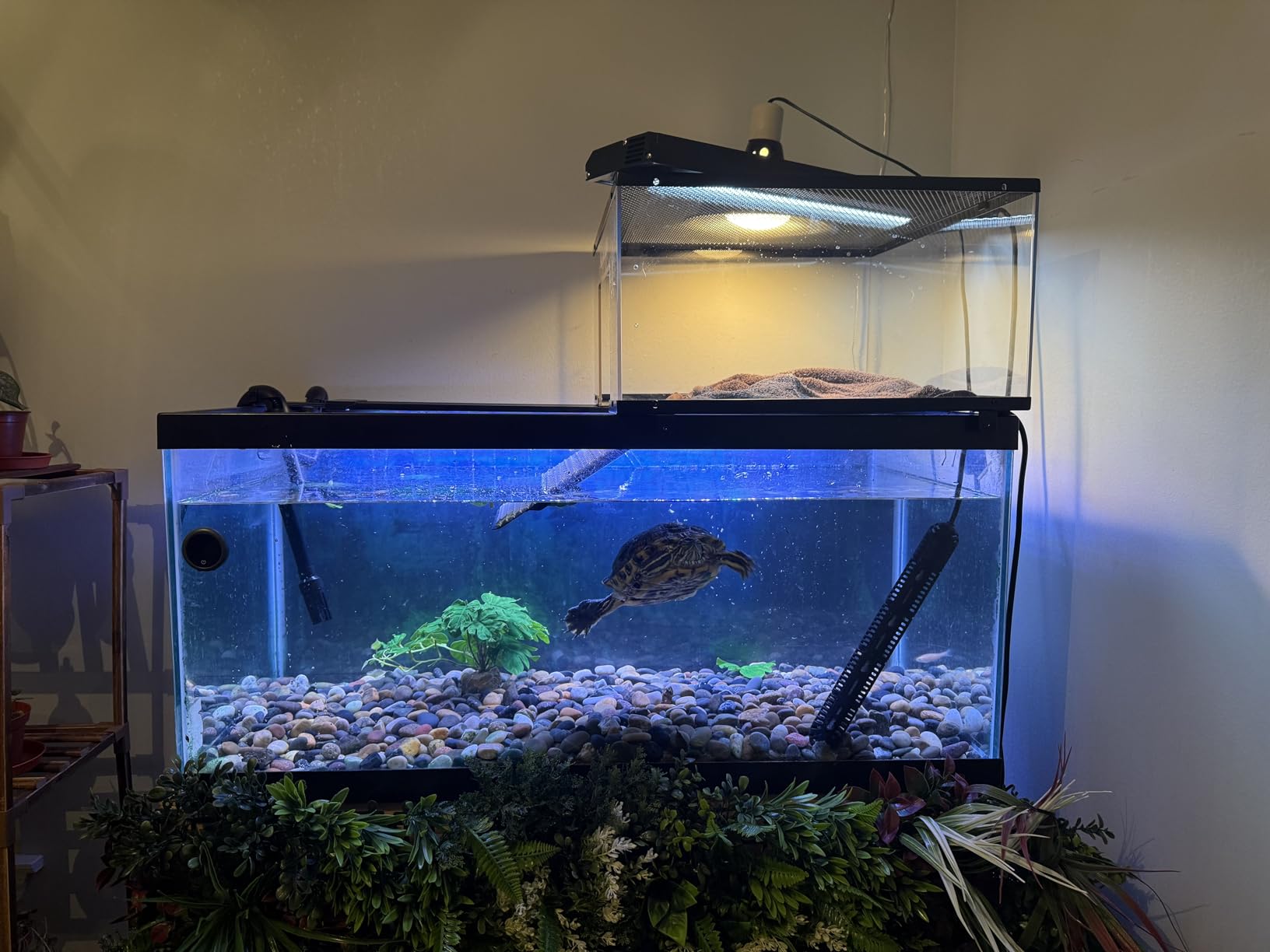 AQQA LED Aquarium Light, 24/7 & DIY Mode Full Spectrum Fish Tank Light | Adjustable Timer/Brightness, Extendable Bracket Aquarium Plant Light, Memory Function, IP68 Waterproof, for 18-24 Inch Tank customer photo 2