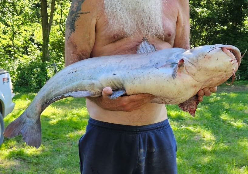 Monster Catfish Casting Rod, 7' MH Glow-in-Dark 1-Piece customer photo 1