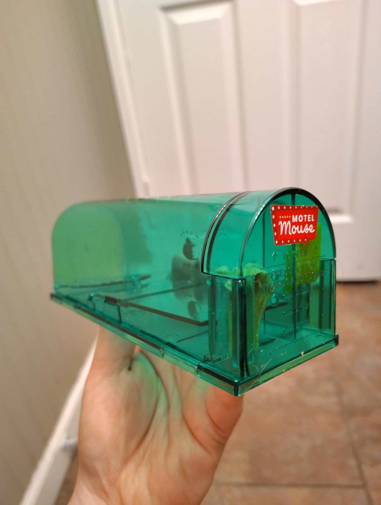 Motel Mouse Humane No Kill Mouse Traps Live Catch & Release - 4 Pack | Improved Tail Protection • Kid & Pet Friendly • No Touch Release • Reusable Design • Easy to Use customer photo 1