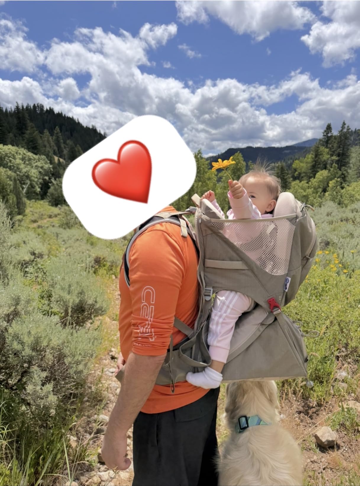 Osprey Poco LT Lightweight Child Carrier Backpack - Compact, Travel-Ready Kid Carrier with Sunshade and Adjustable Fit - Lightweight, Comfortable Hiking Carrier for Toddlers customer photo 1