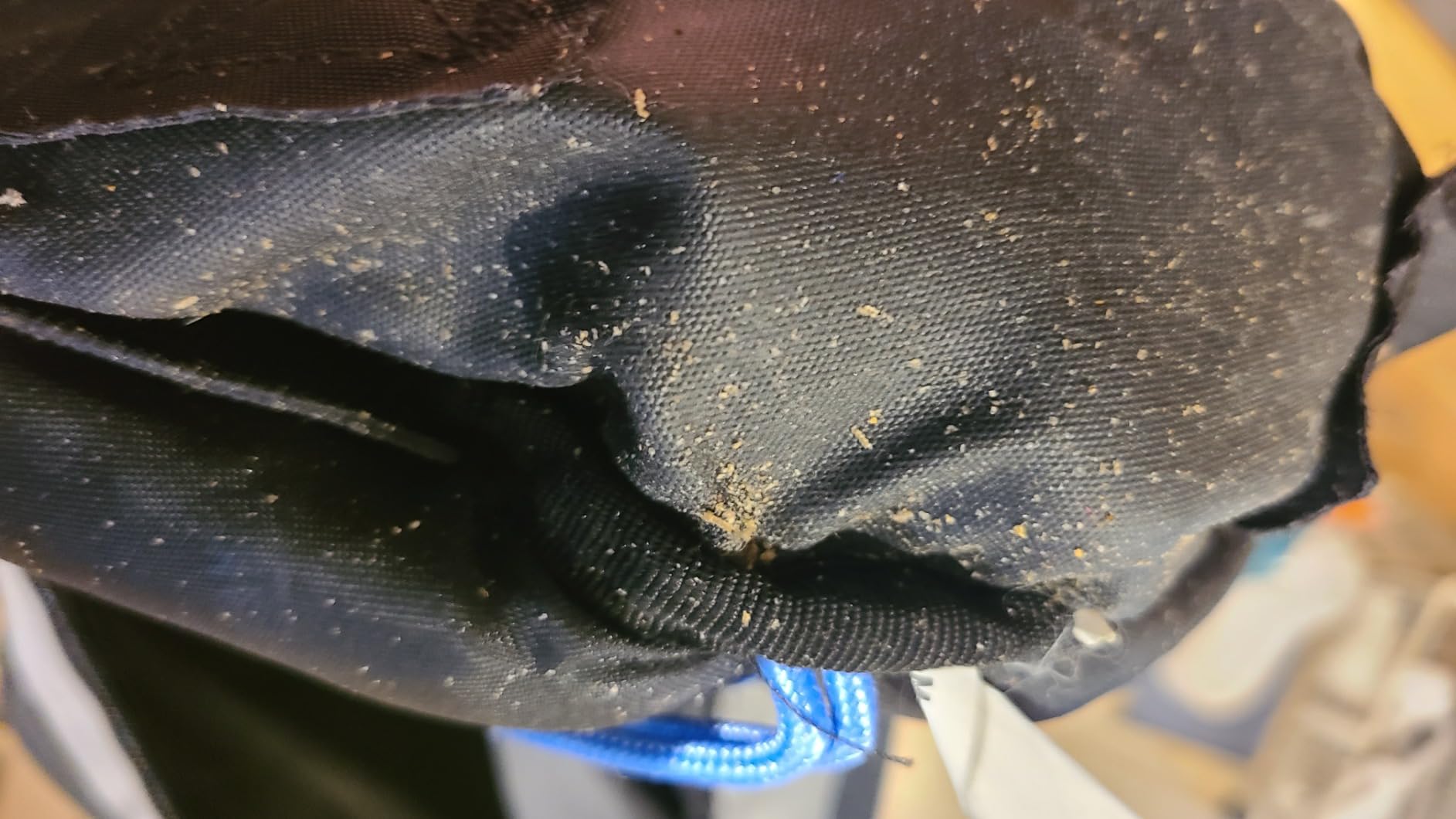 CamelBak M.U.L.E. Pro 14 Bike Hydration Backpack customer photo 2