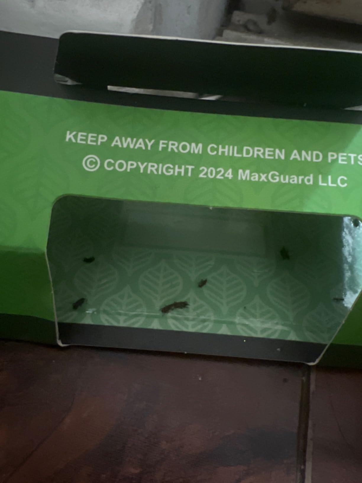MaxGuard Silverfish + Insect Traps (12 pcs Box Trap) | Non-Toxic Extra Sticky Glue Traps, Kill All Silverfish, Centipedes, and Other Crawling Bugs and Insects customer photo 1