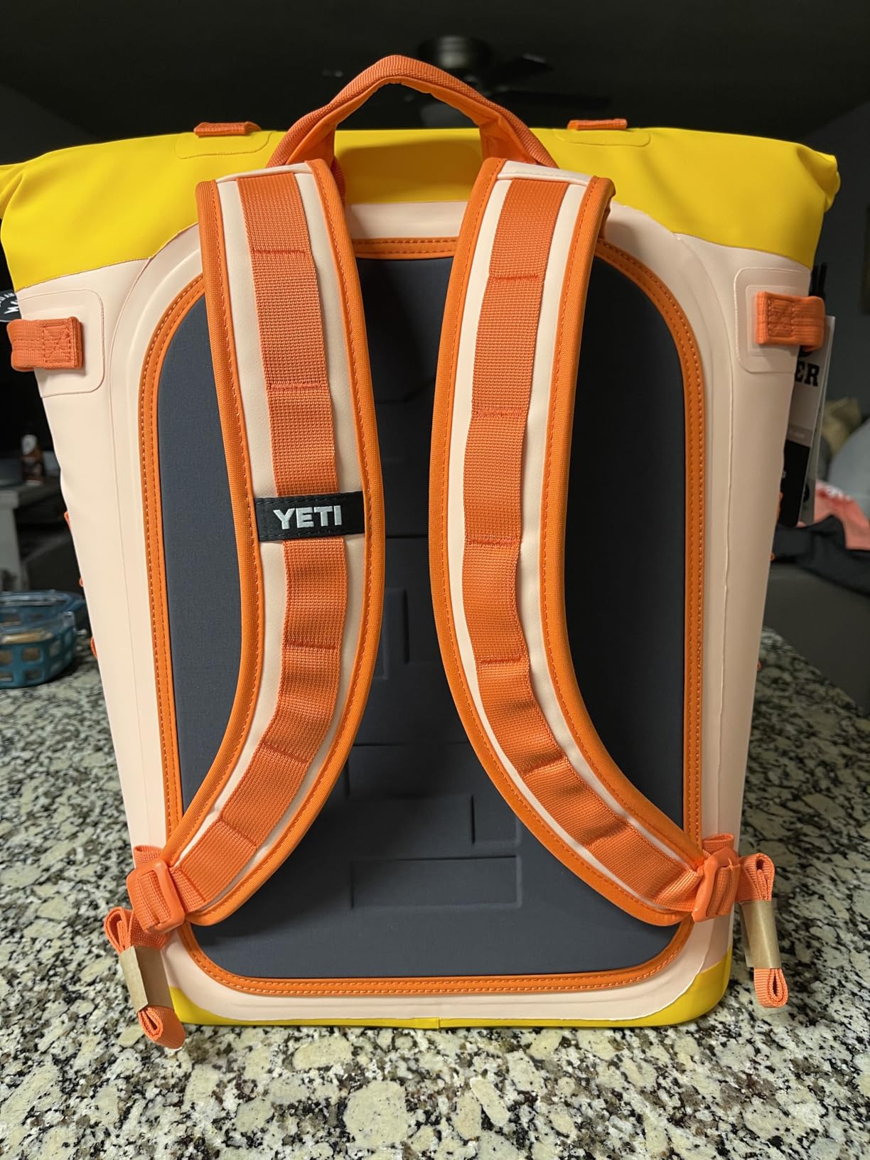 YETI Hopper M Series Backpack Soft Sided Coolers with MagShield Access customer photo 2