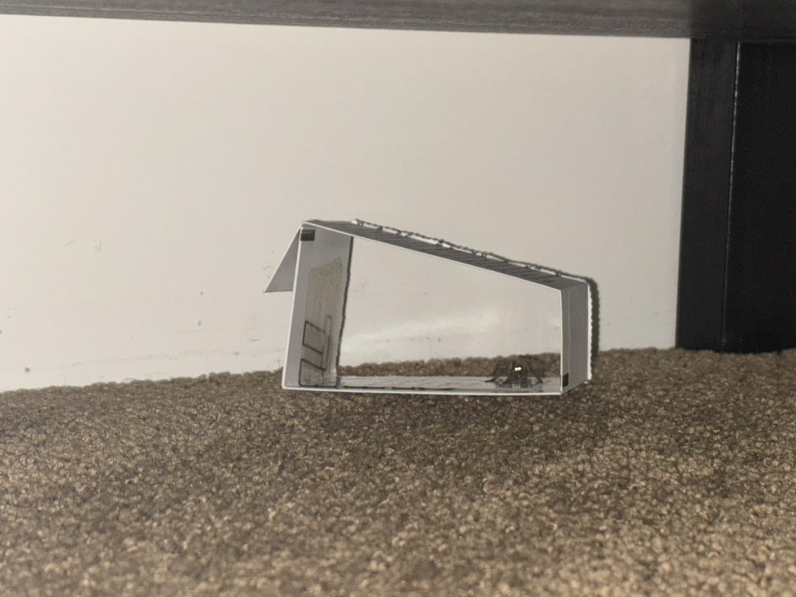 TERRO Spider & Insect Trap, 10-Pack Sticky Glue Traps | Kills Roaches, Spiders, Ants, Cockroaches, Crickets, Indoor Bug Catcher Pest Control Traps, 4.25 in x 10 in, T3206-10 customer photo 2