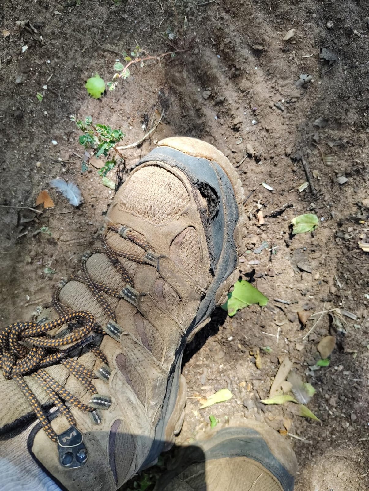 Merrell Men's Moab 3 Mid Waterproof Hiking Boots customer photo 1