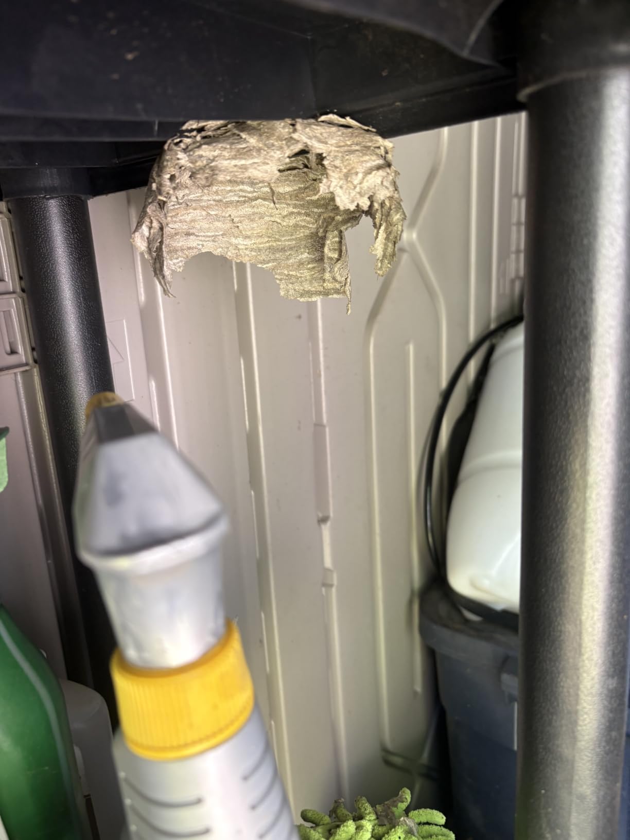 Spectracide Foaming Wasp & Hornet Killer, Blanketing Foam Kills by Contact, 14 Ounces customer photo 1