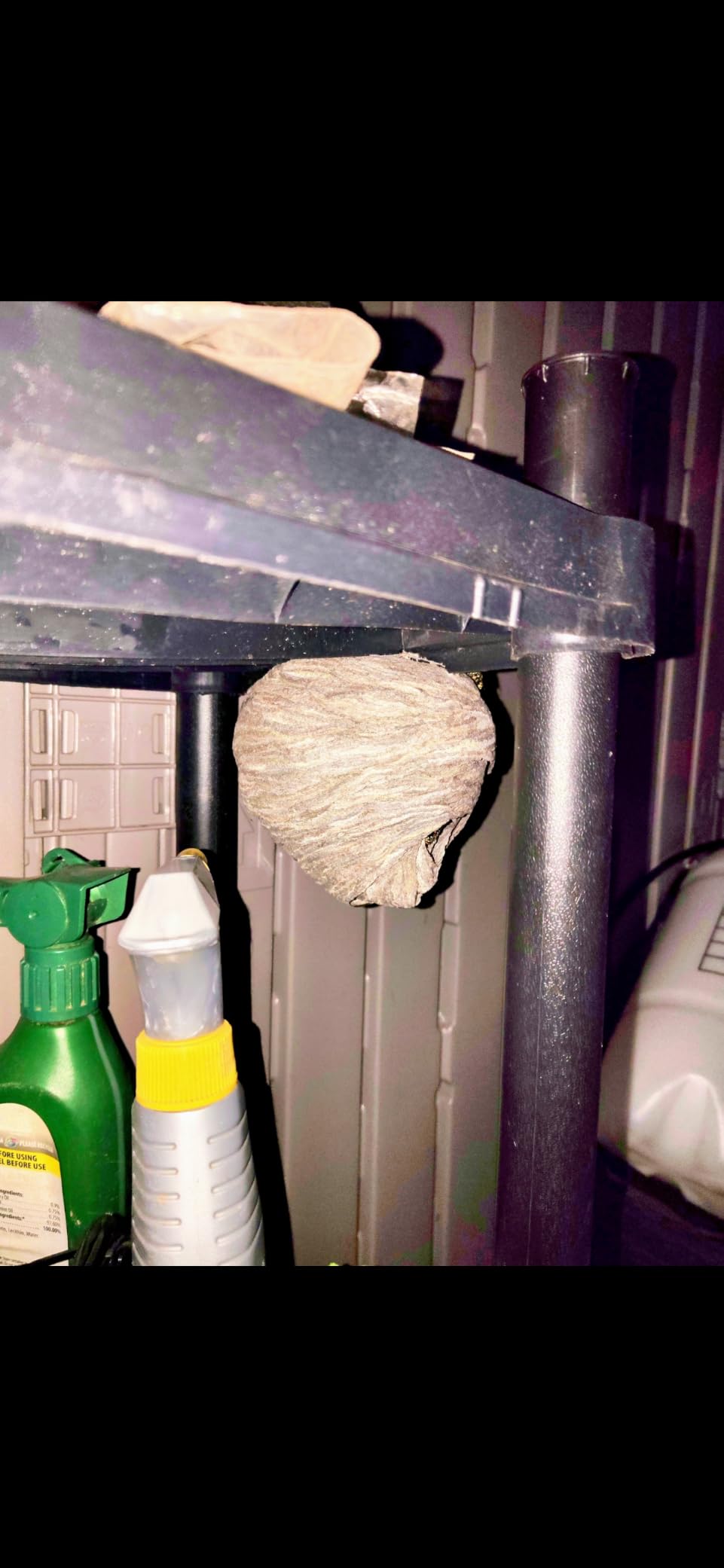 Spectracide Foaming Wasp & Hornet Killer, Blanketing Foam Kills by Contact, 14 Ounces customer photo 2