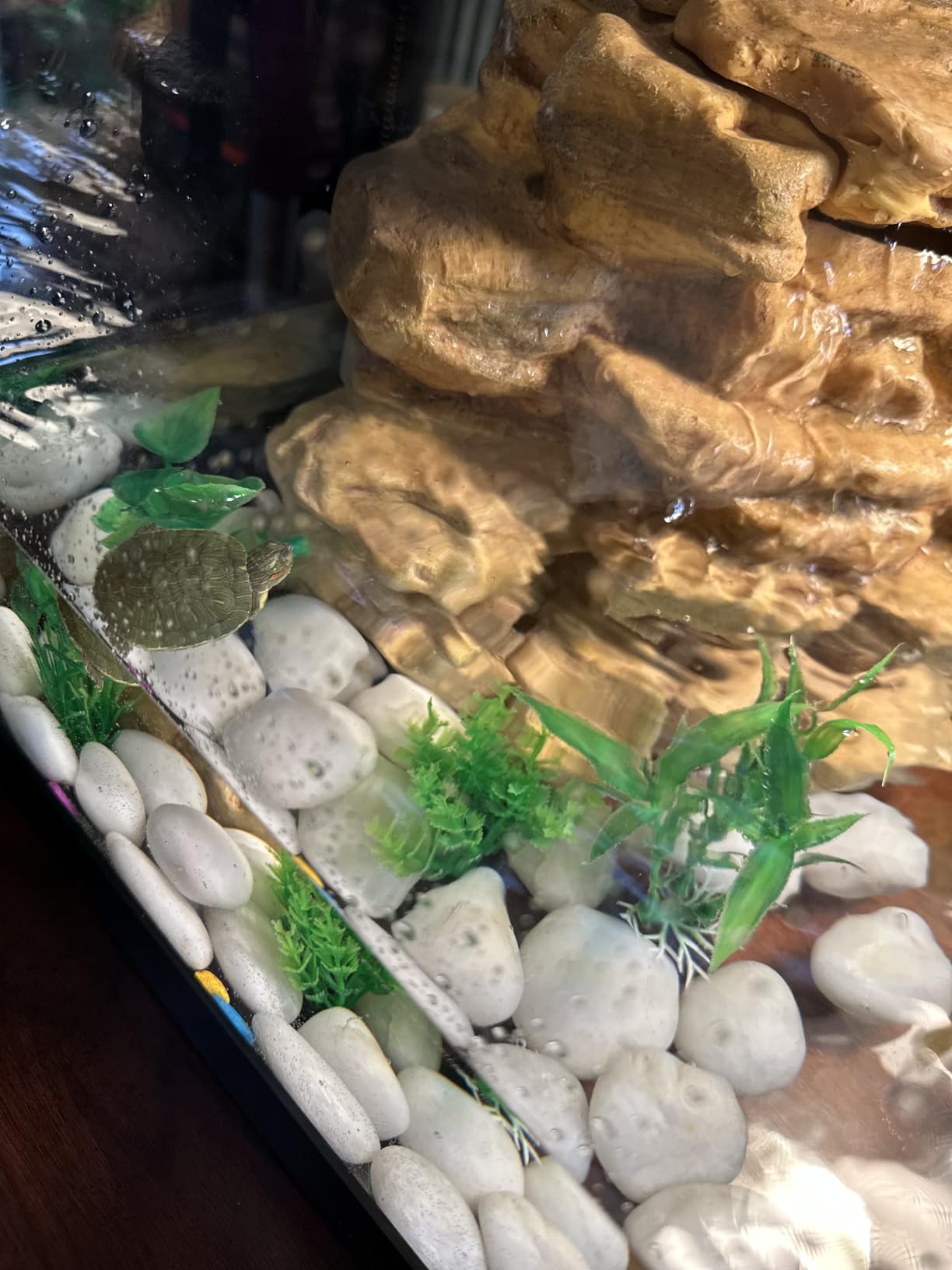 Tetra ReptoHabitat 15 Gallon Complete Kit for Reptiles, Turtles, Amphibians customer photo 2