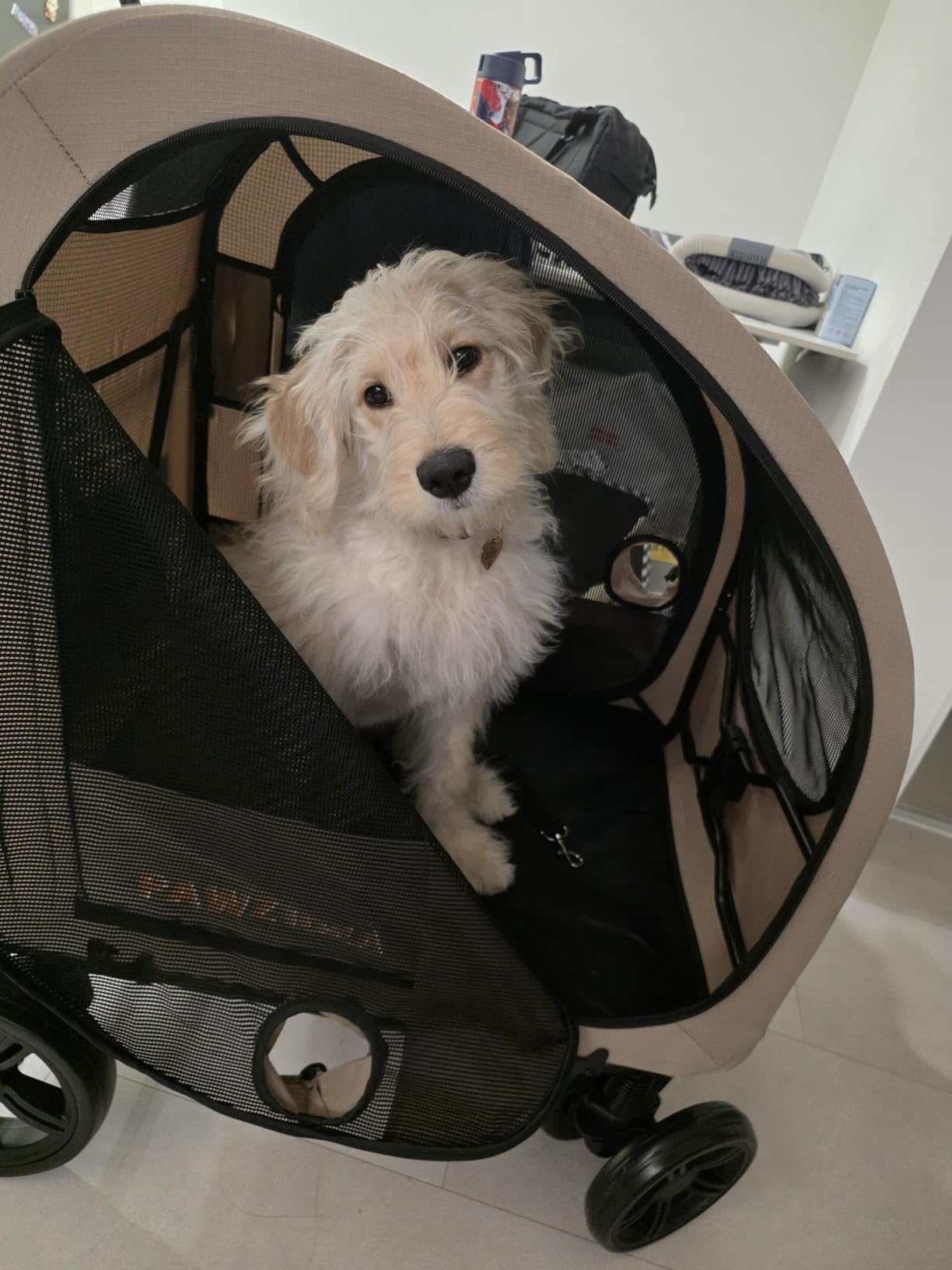 PAWZIDEA 3-in-1 Dog Stroller for Large Dogs with Detachable Carrier, 45% Extra Tall Dog Car Crate up to 100lb Sit Upright, Foldable Pet Stroller for 2 Medium Dogs All-Terrain Jogger, Adjustable Handle customer photo 2