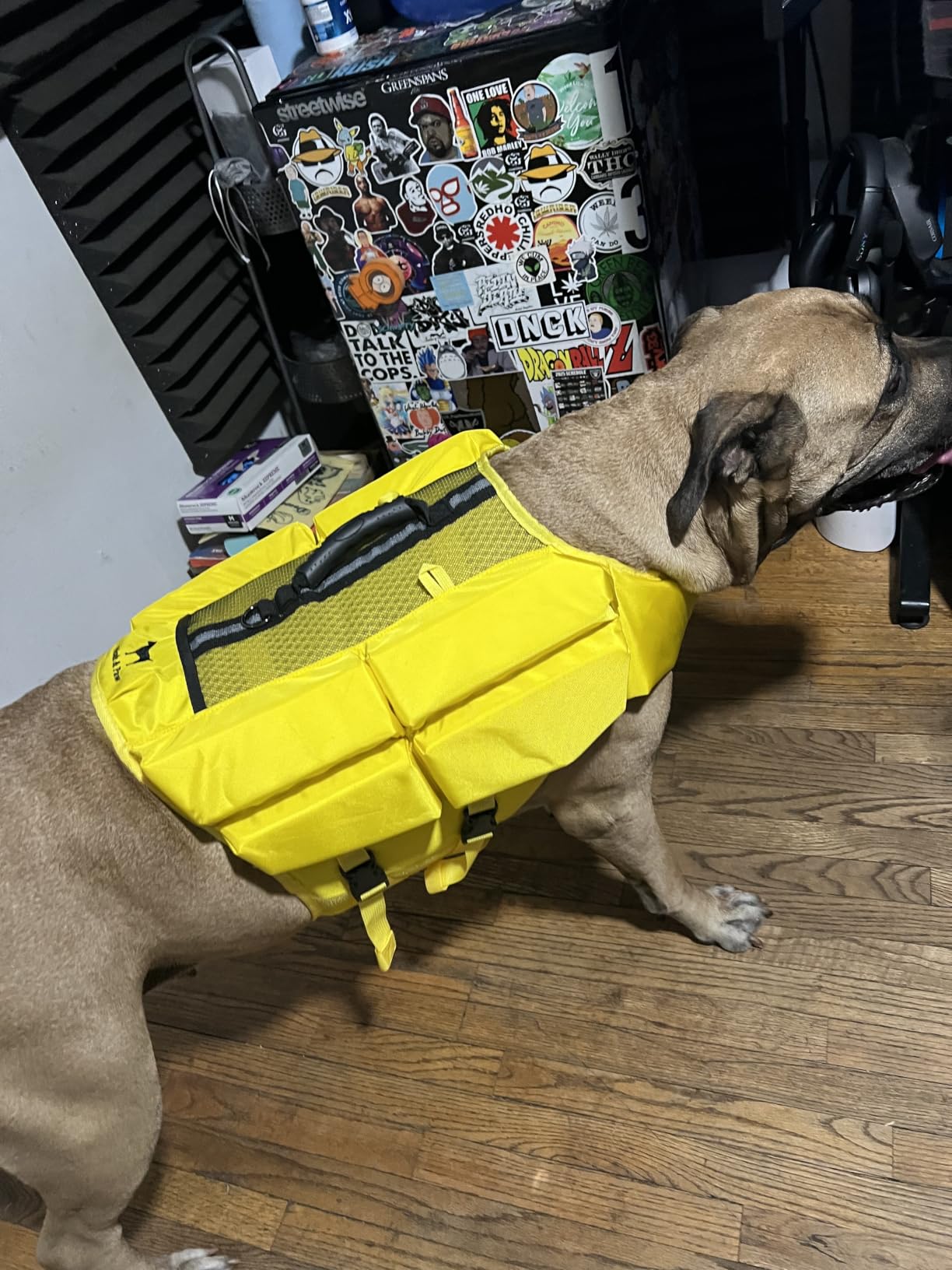 NOAH & PAW Dog Life Jacket, Human Standards Lifejacket Design, Dog Life Vest for Swimming and Boating, 3X Foam Support for Max Floating, Breathable Mesh, Salvavidas para Perros, Size L customer photo 2