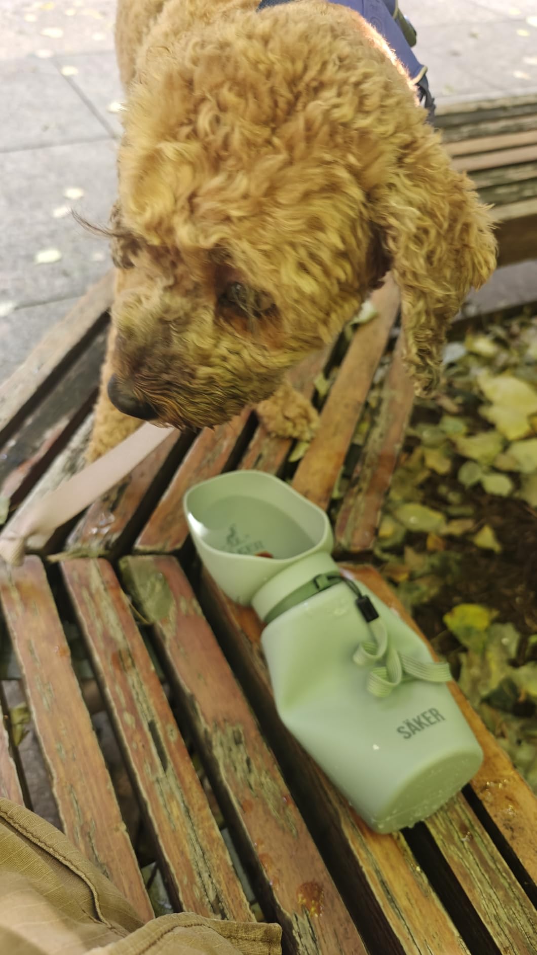SAKER Portable Dog Water Bottle, Collapsible Water Bottle for Dogs Perfect for Walking, Hiking and Outdoors | Works as a Portable Water Bowl | Designed in Montreal - 750ml customer photo 1