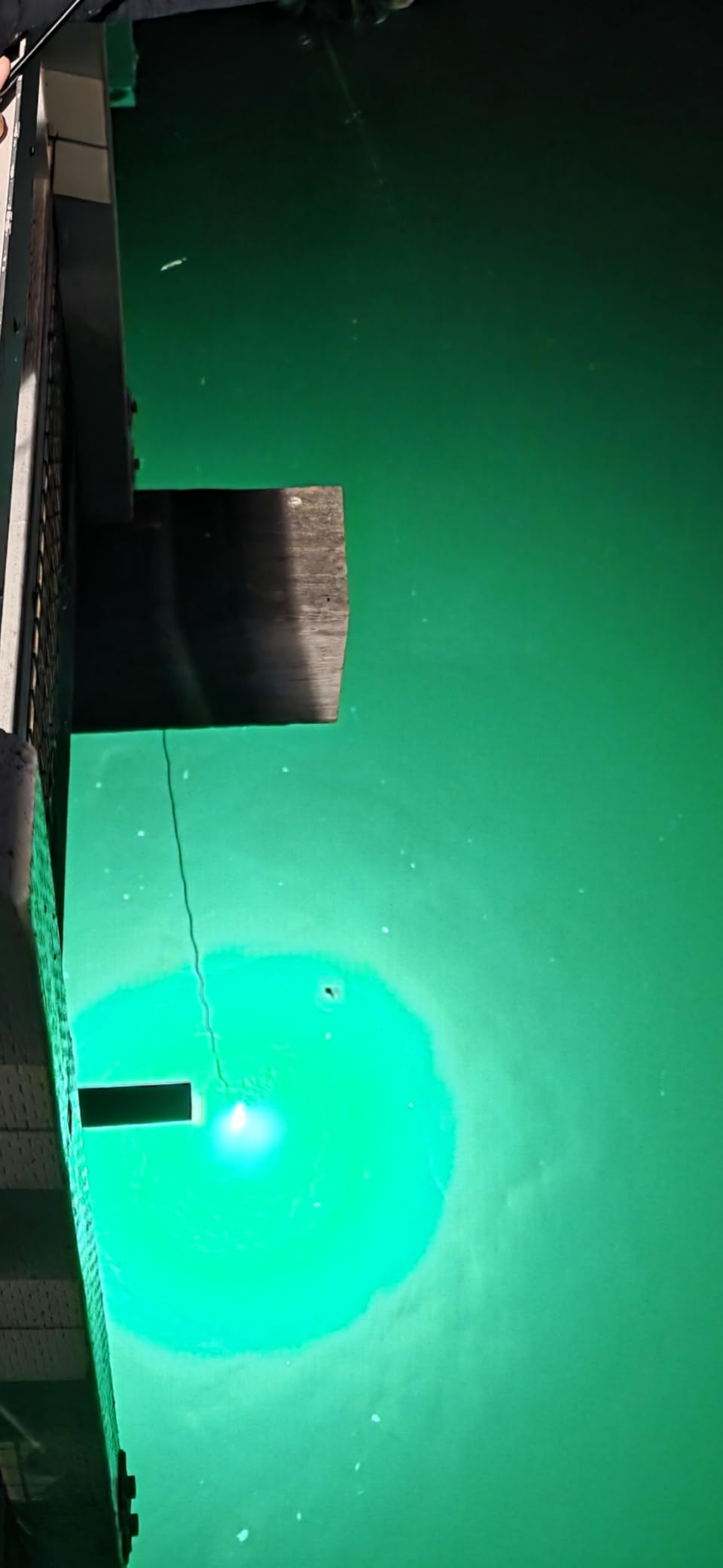 F1 12V Underwater Green Fishing Light 100W LED 16.4ft Fish Attractants | 100W 10000LM Ultra-Bright: 360° LED light attracts fish in fresh & saltwater, ideal for crappie, snook, squid, shrimp fishing customer photo 1