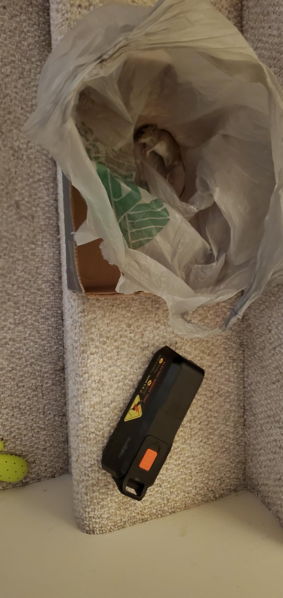 Teal Elite Electric Mouse Trap - Electronic Rodent Zapper for Indoors & Home - Humane & Effective Mouse Traps - Reusable, No Touch Mouse Killer - Safe & Easy to Use (Pack 1) customer photo 1
