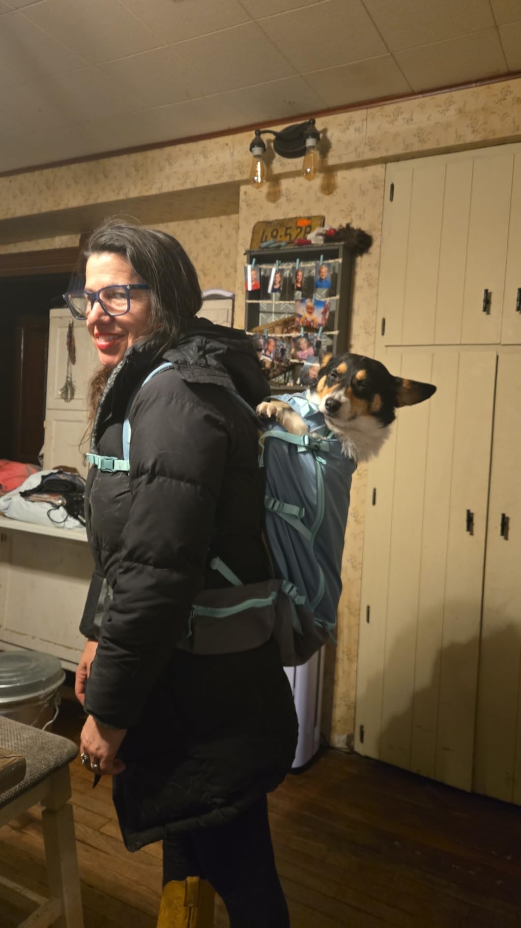 Ruffwear, Hitch Hiker Dog Backpack Carrier, Hands-Free Dog Carrier Backpack with Breathable Mesh, EVA Foam Padding, Durable Polyester, Lightweight Design for Small Dogs, River Rock Green, Small customer photo 1
