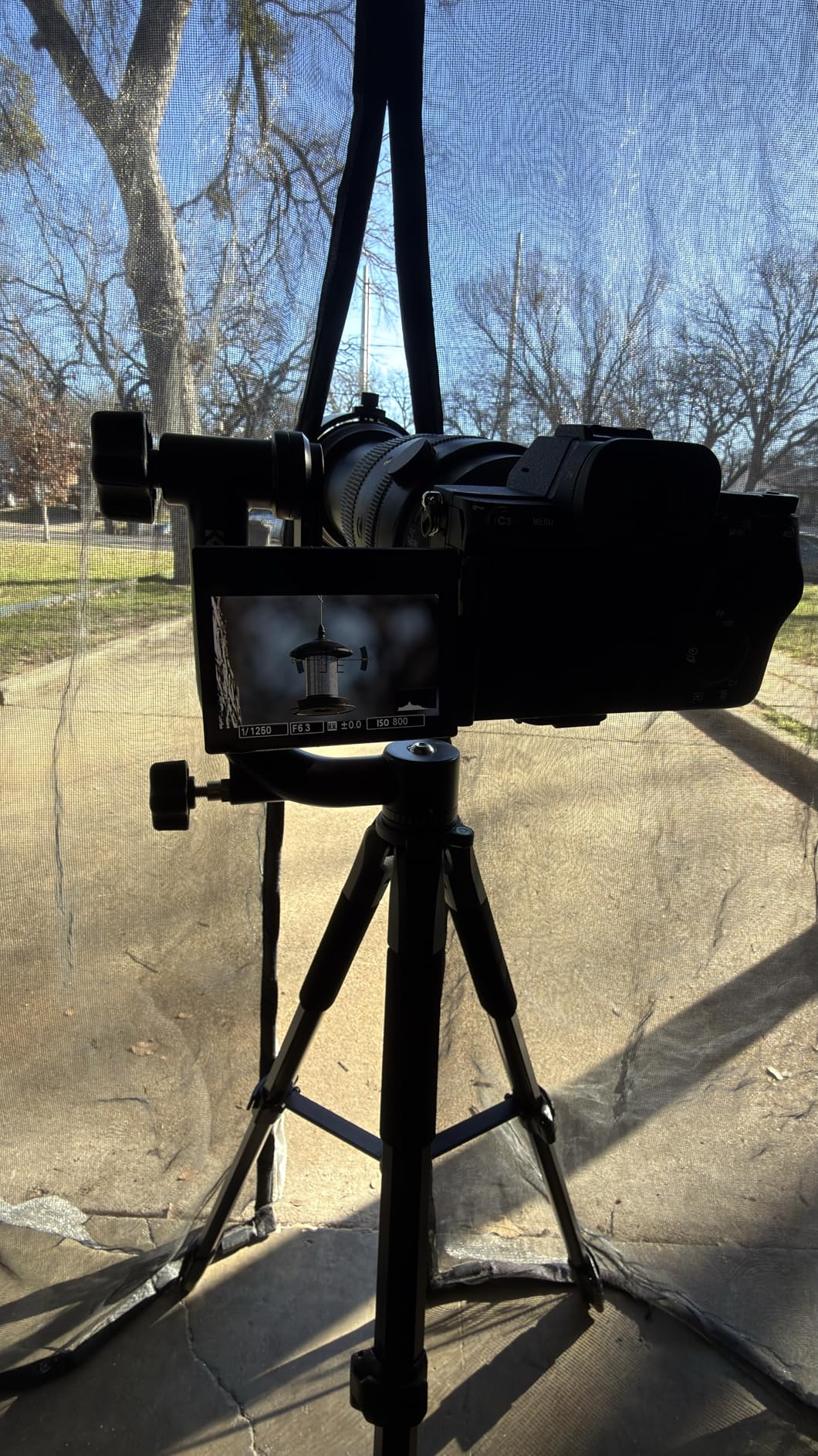 K&F CONCEPT 75 inch/190cm Camera Tripod | Lightweight Travel Outdoor DSLR, 360 Degree Ball Head, Load Capacity 8kg/17.6lbs, S255A3+BH-36 customer photo 1
