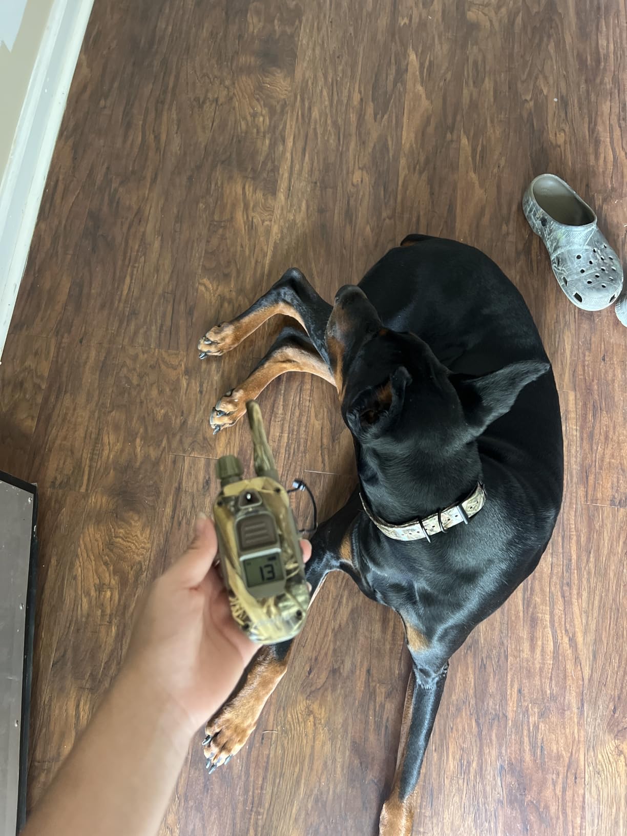 Dogtra 1900X Camouflage E-Collar, 3/4 Mile Range, Dogs 45 lbs+, IPX9K Waterproof, 100 Stimulation Levels customer photo 1