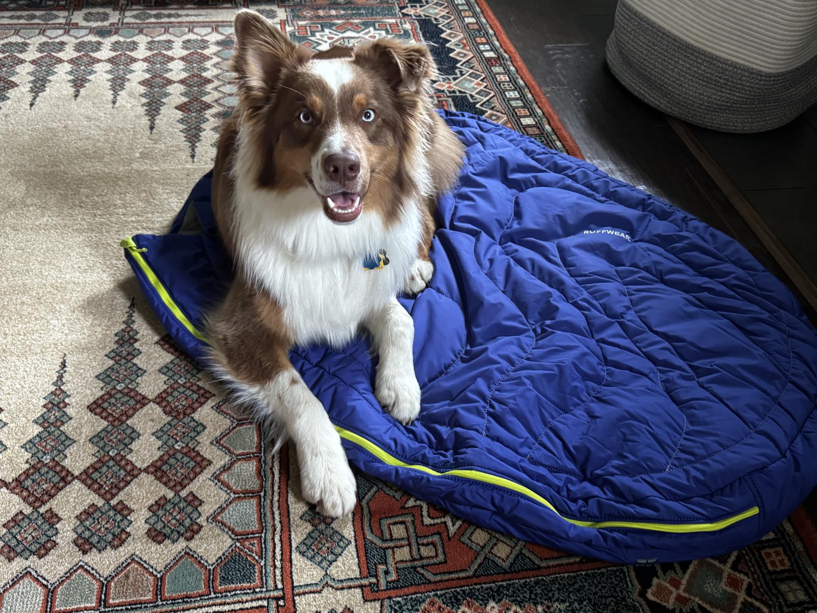 Ruffwear Highlands Dog Sleeping Bag, Huckleberry Blue, Medium customer photo 1