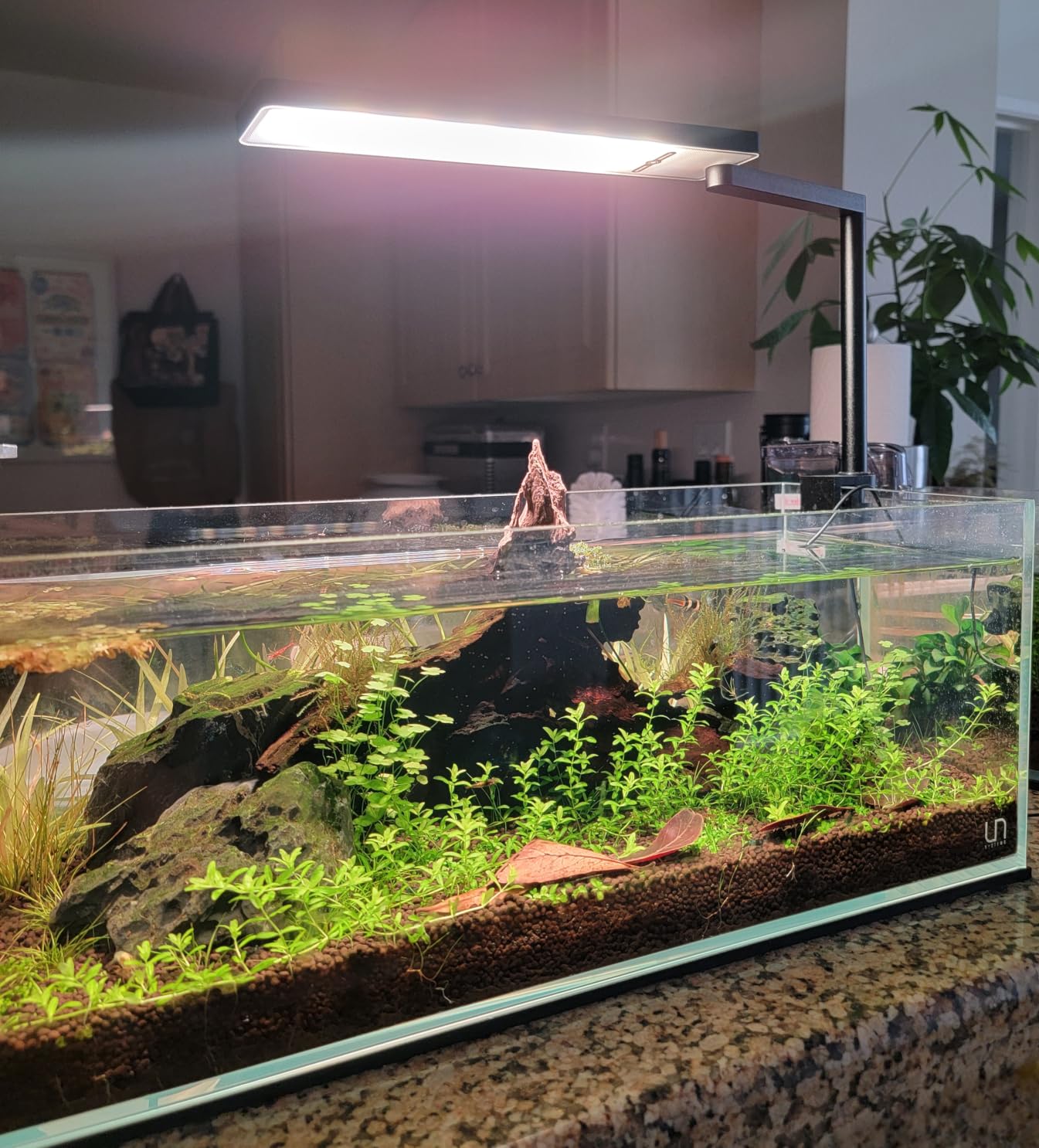 FZONE Solo Series Nano LED Aquarium Light, Full Spectrum and Dimmable, App-Controlled, for Freshwater and Planted Tanks customer photo 2