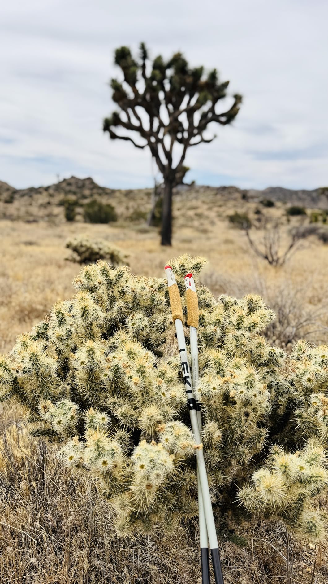 LEKI Ultratrail FX.One Trekking Poles | Carbon, Foldable, Ultralight Trail Running & Hiking Sticks customer photo 1