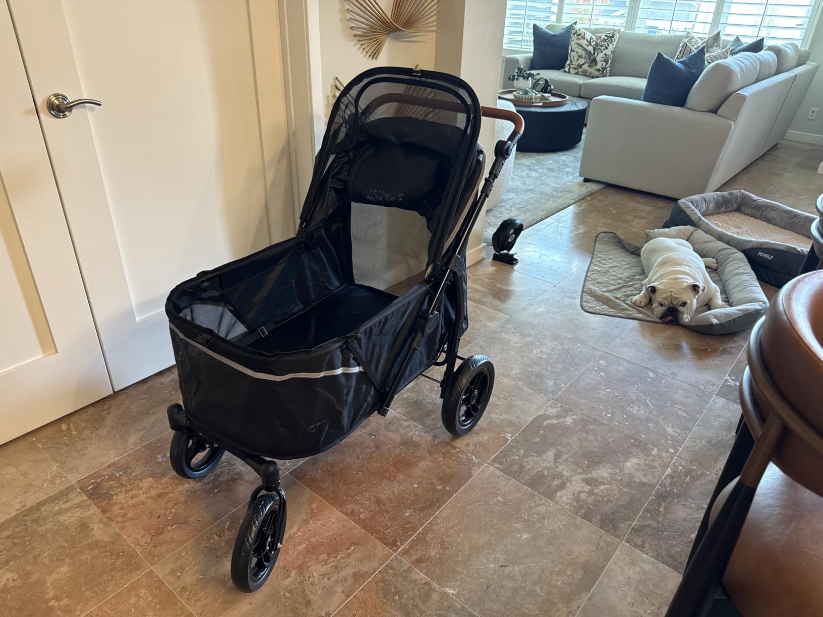 Zoosky Pet Stroller for Large Dogs up to 110lbs, Large Pet Stroller for Multiple Pets, All-Terrain with Adjustable Handle & Mesh Dual-Window, 1680D Waterproof Oxford Fiber customer photo 1