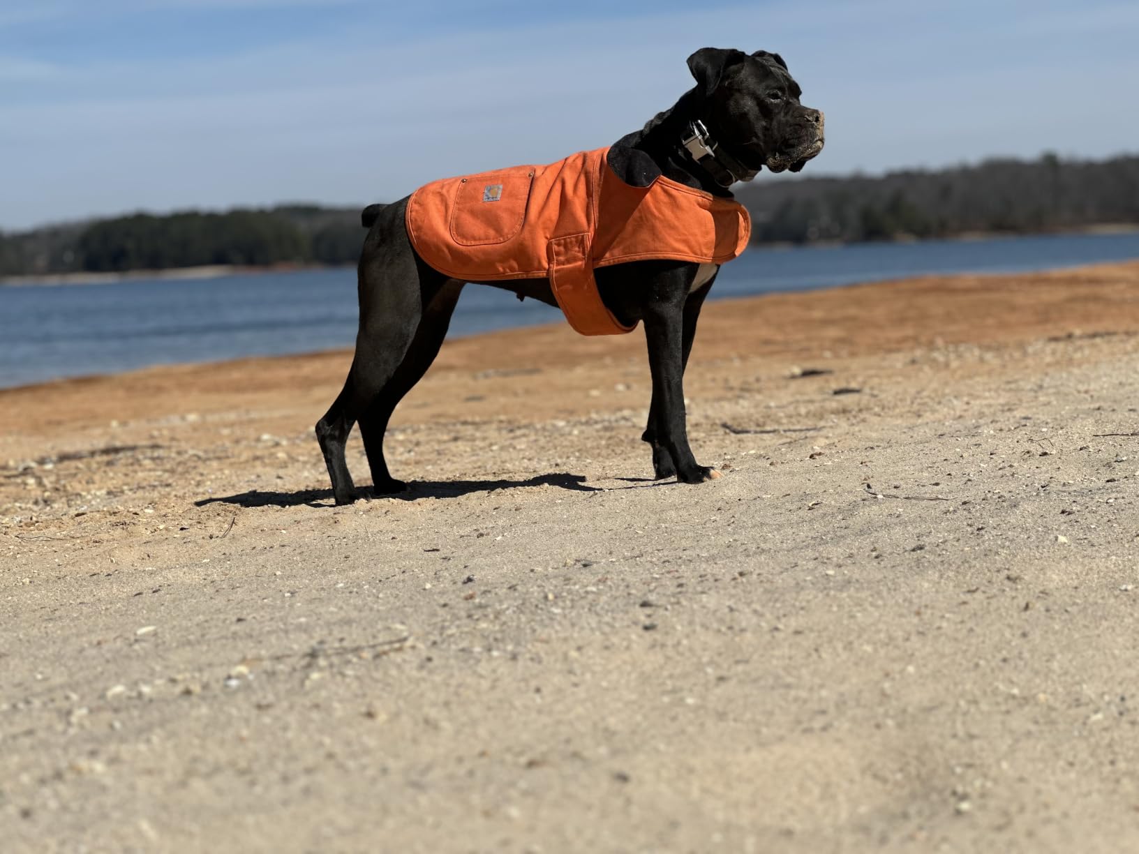 Carhartt Firm Duck Dog Chore Coat, Insulated Weather Resistant Jacket for Cold and Windy Conditions, Black, Medium customer photo 1