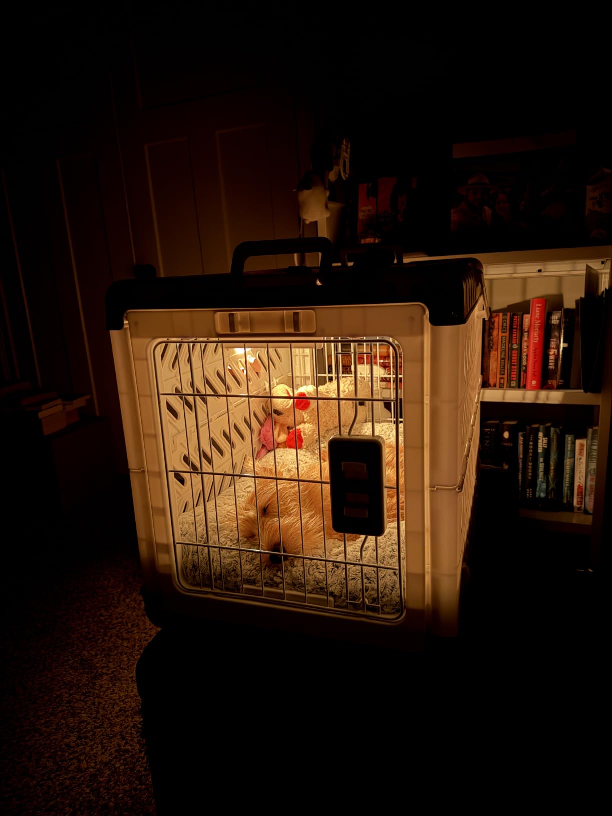 Collapsible Dog Crate for Large/Medium Dogs - 36