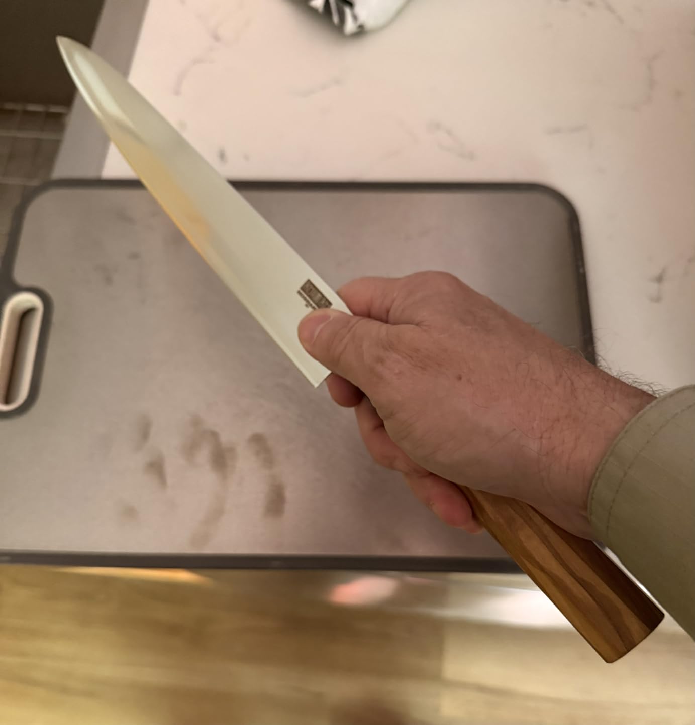 HOSHANHO Sushi Knife 10