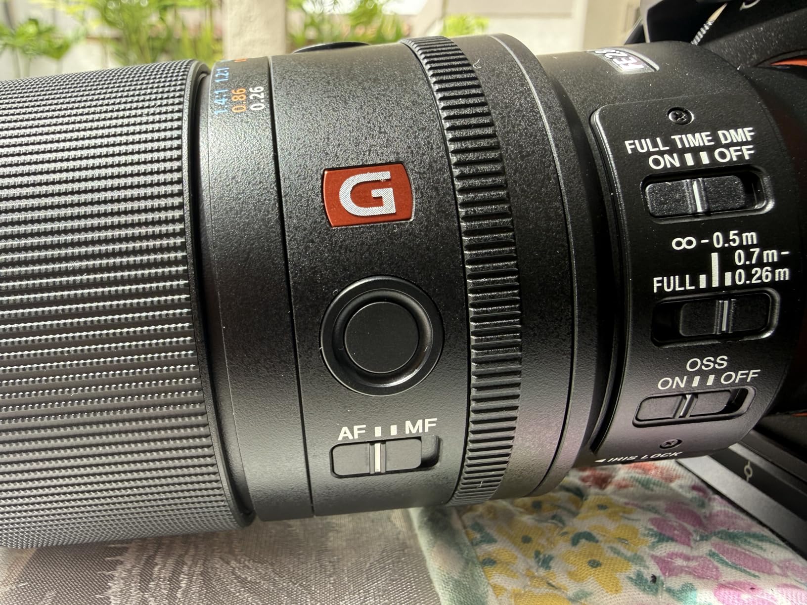Sony FE 100mm F2.8 GM OSS - 1.4x magnification with f/2.8 aperture and OSS for macro photography, nature videography and professional portraits customer photo 1