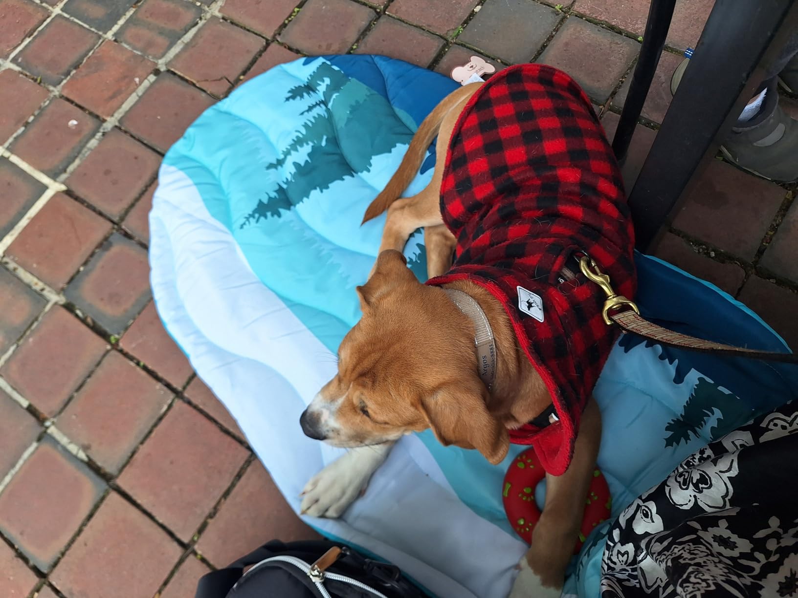 PUPTECK Reversible Outdoor Travel Dog Bed Waterproof, Camping Essentials with Carry Bag, Portable & Foldable Pet Pad Crate Kennel Mat for Large Medium Small Dogs, Travel Accessories, 43