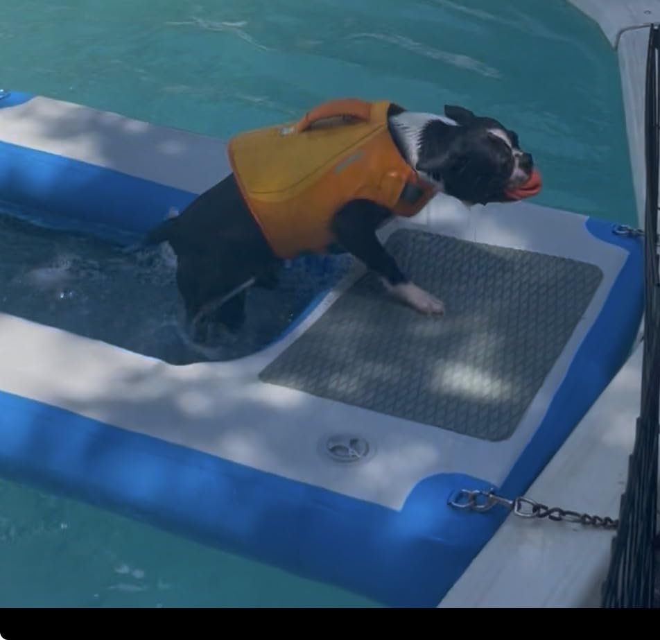 Dog Boat Ramp 48