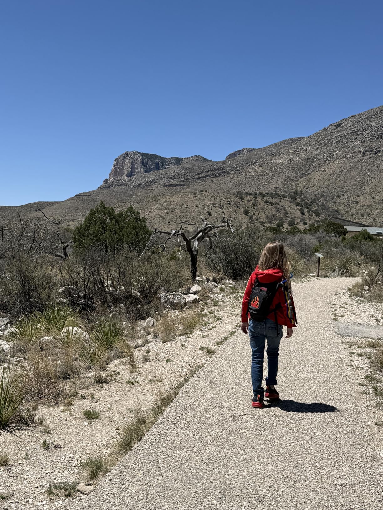 CamelBak Mini M.U.L.E. Kids Hydration Backpack, Lightweight Trail and Bike Pack with 50oz Reservoir customer photo 1