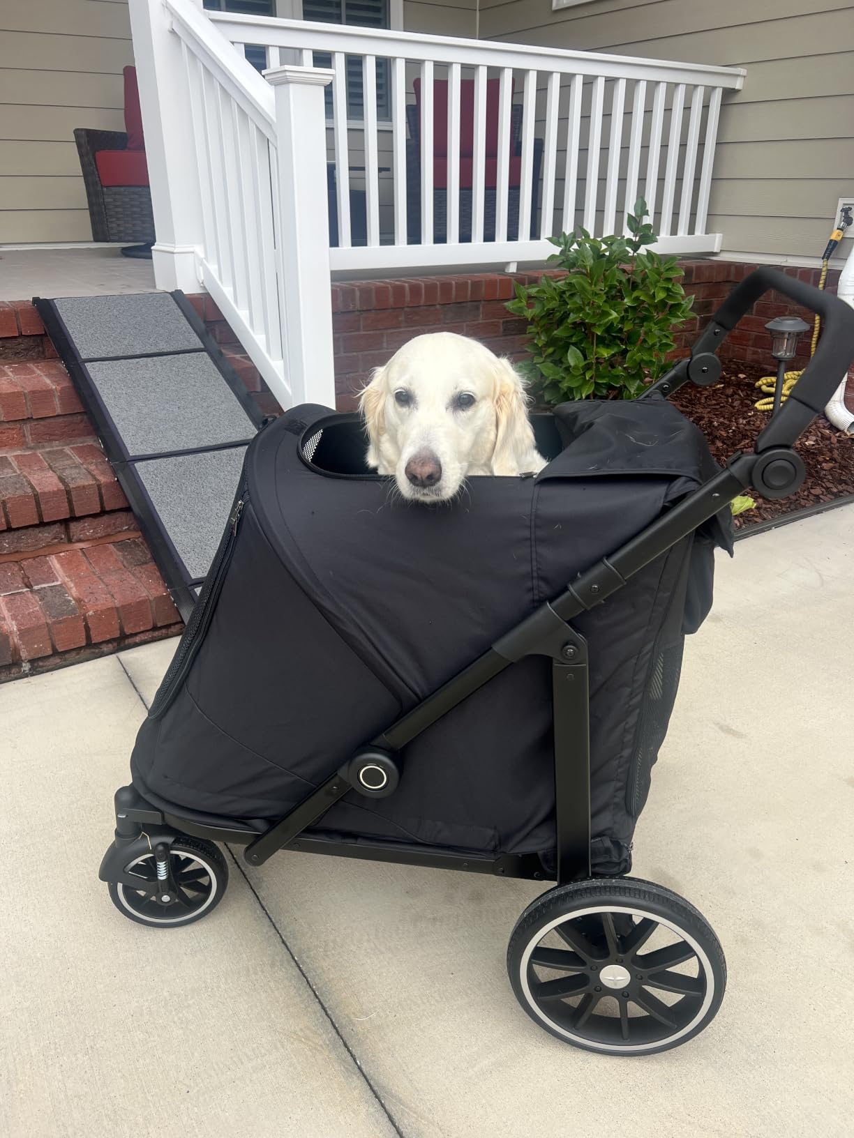 Dog Stroller for Large Dogs, 100 Lbs Capacity Heavy Duty Extra Large Pet Stroller for Medium Dogs, All Terrain Dog Wagon Cart with 12