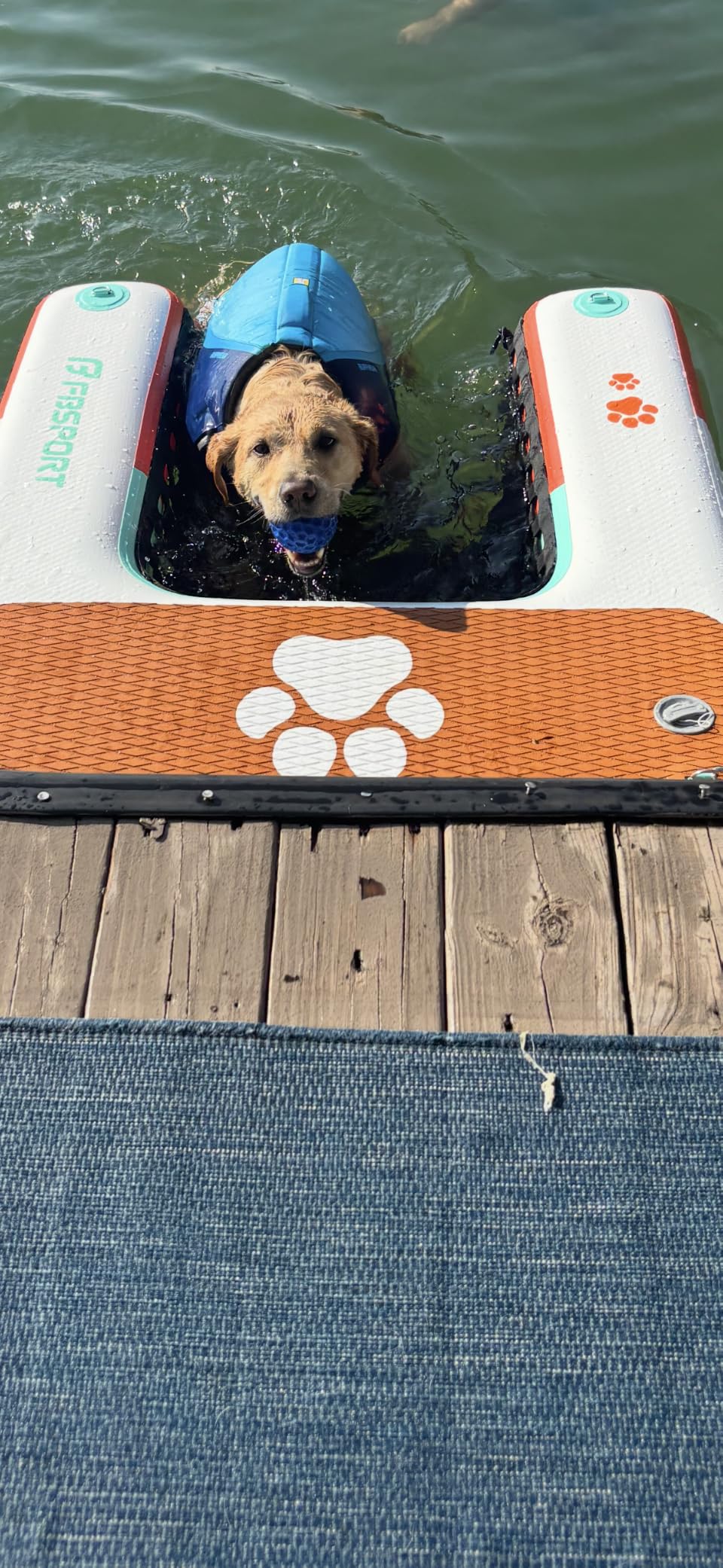 FBSPORT Inflatable Dog Boat Ramp Floating Dock Water Ladder for Pool, Boat, Non-Slip EVA Floating Ladder Pool Ramp for Dog Up to 220 LBs, Safe & Easy Access customer photo 1