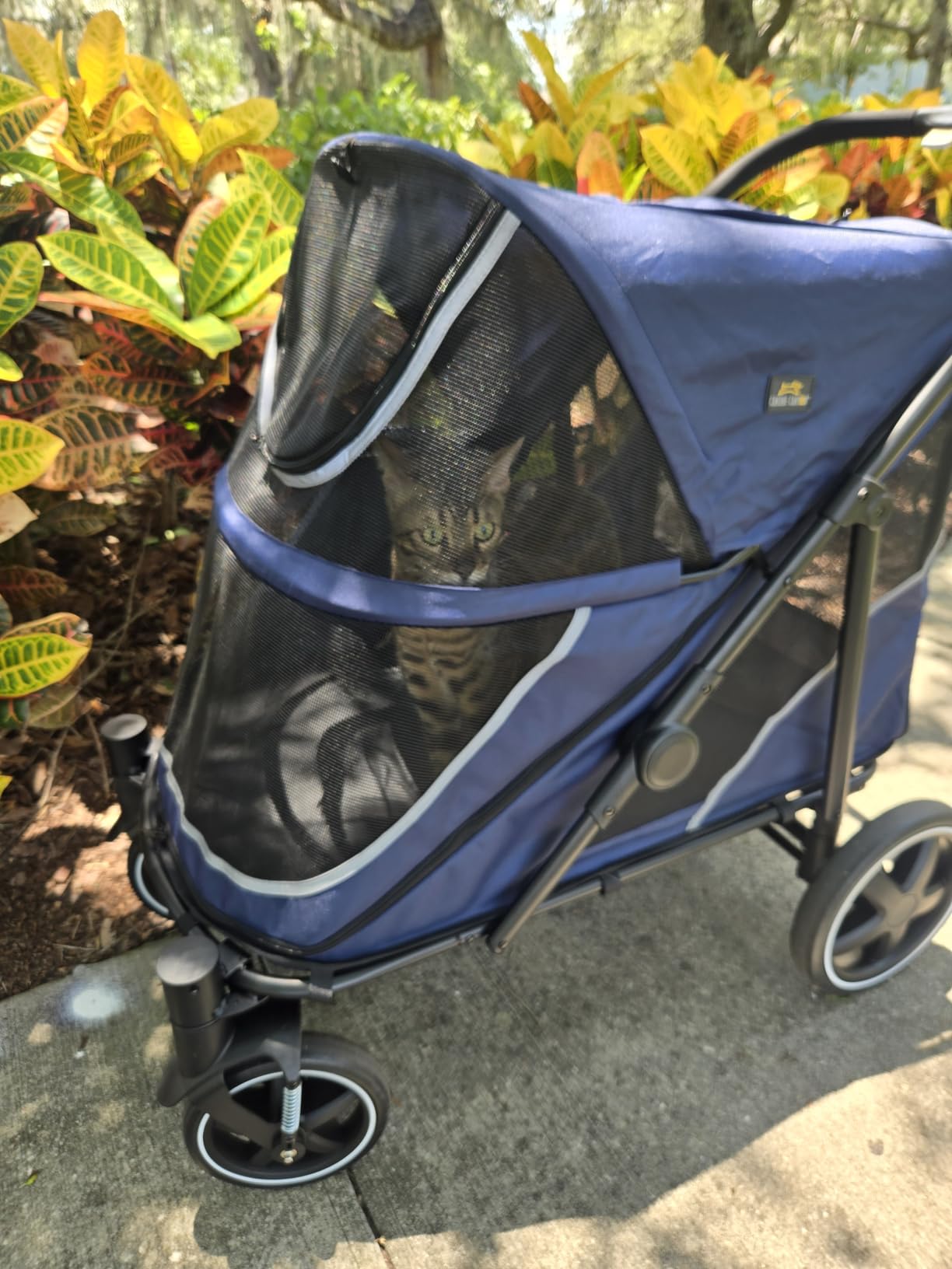 Canine Canyon Denver Dog Stroller for Large & Medium Dogs- Easy Fold All-Terrain Pet Stroller for 2 Dogs with Dual Entry, One-Foot Brake, Sunroof & Breathable Windows, Up to 130 lbs, Blue customer photo 1