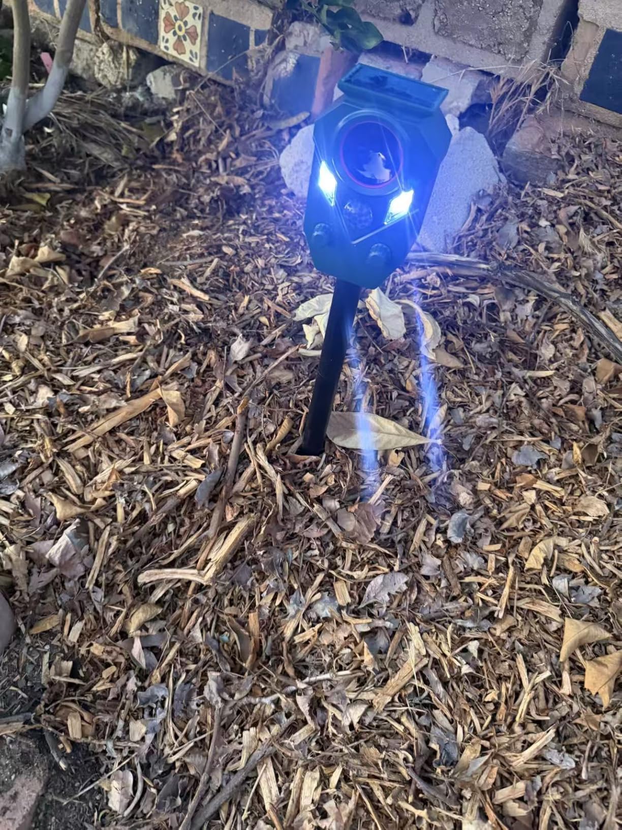 4-Pack Solar Powered Ultrasonic Animal Repeller, Outdoor Waterproof Deer Squirrel with Motion-Activated Sensor Strobe Light, for Cats, Raccoons, Skunks, Rabbits and More customer photo 2