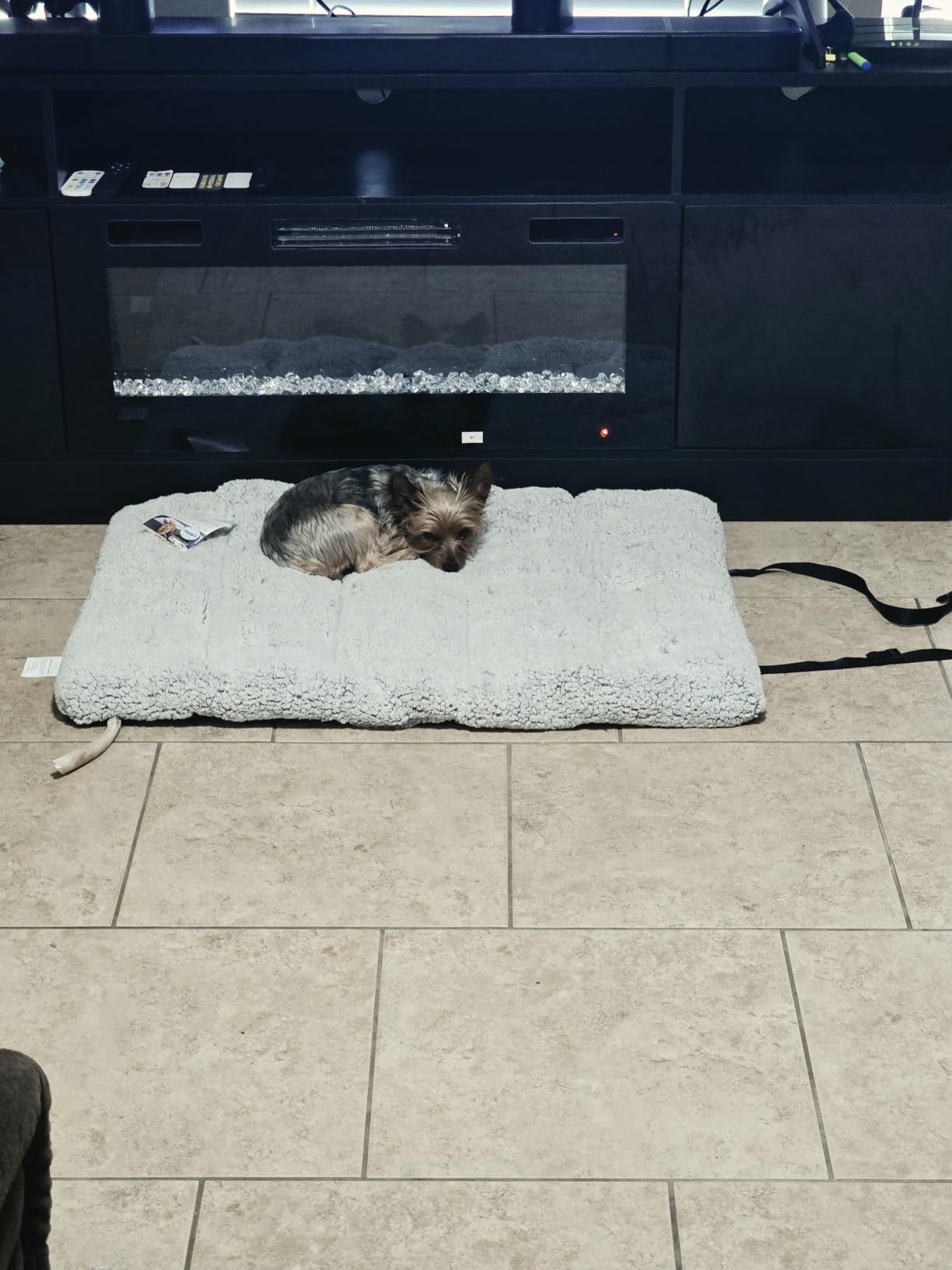 Outward Hound On-The-Go Travel Dog Bed, Portable Roll-Up Mat with Buckle, Durable Ripstop Exterior & Soft Fleece Interior, Water-Resistant Bottom, Indoor/Outdoor, Gray, 36