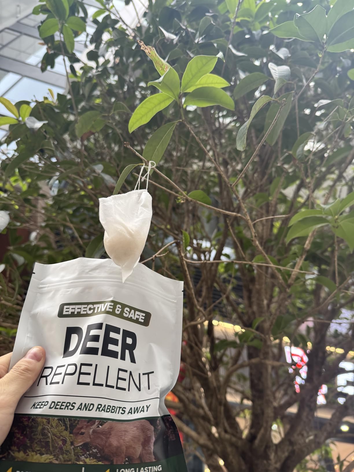 LAQDECDV Deer Repellent, Rabbit Repellent Outdoor, Deer Deterren for Yard & Garden, Bunny Repellent Balls, Keep Deer, Elk, Moose Away from Plant/Tree, Deer & Rabbit Repellant, 90 Days Protection-8P customer photo 2