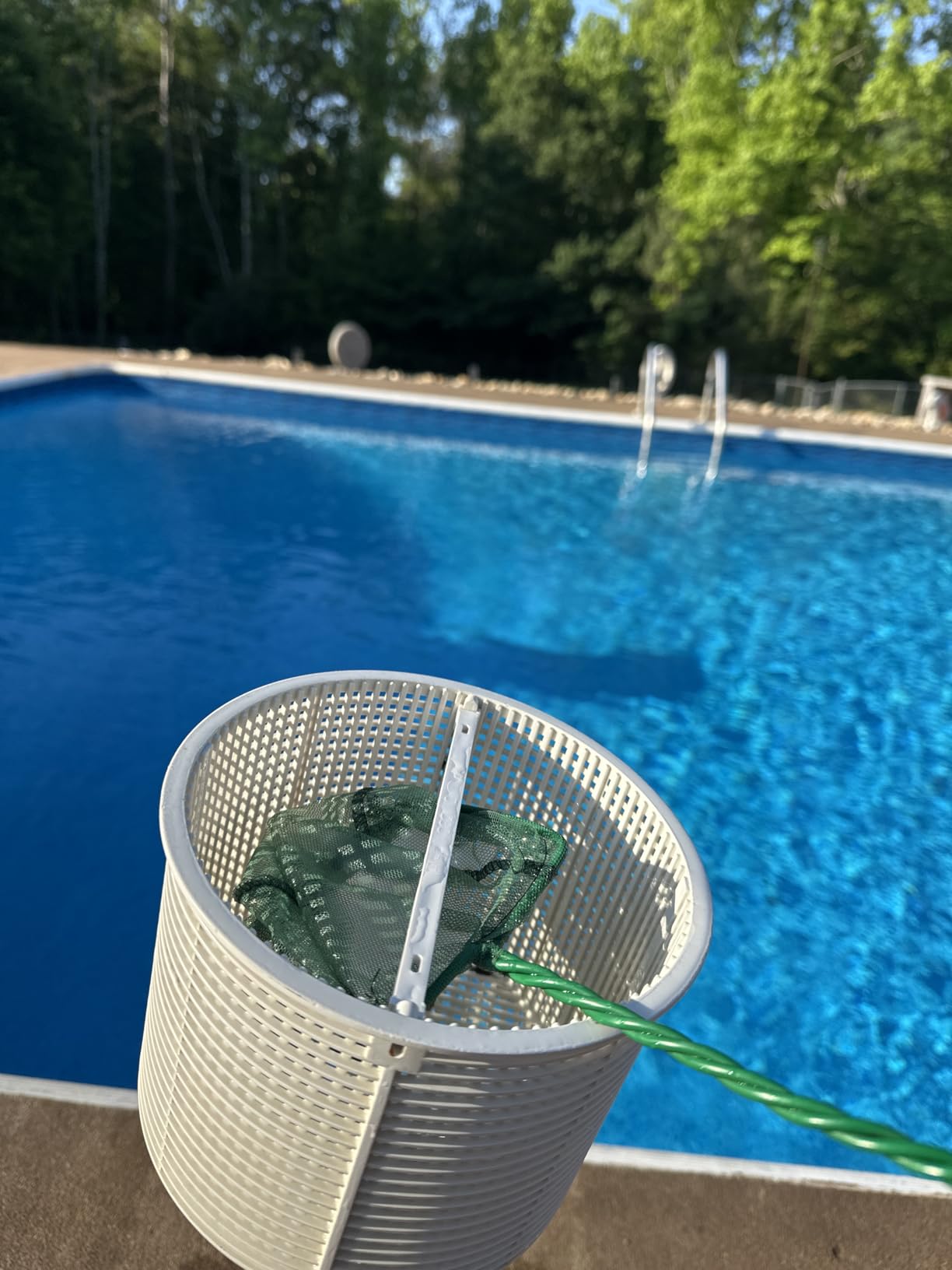 Pawfly Aquarium Fish Net with Braided Metal Handle Square Net with Soft Fine Mesh Sludge Food Residue Wastes Skimming Cleaning Net for Fish Tanks Small Koi Ponds and Pools customer photo 1
