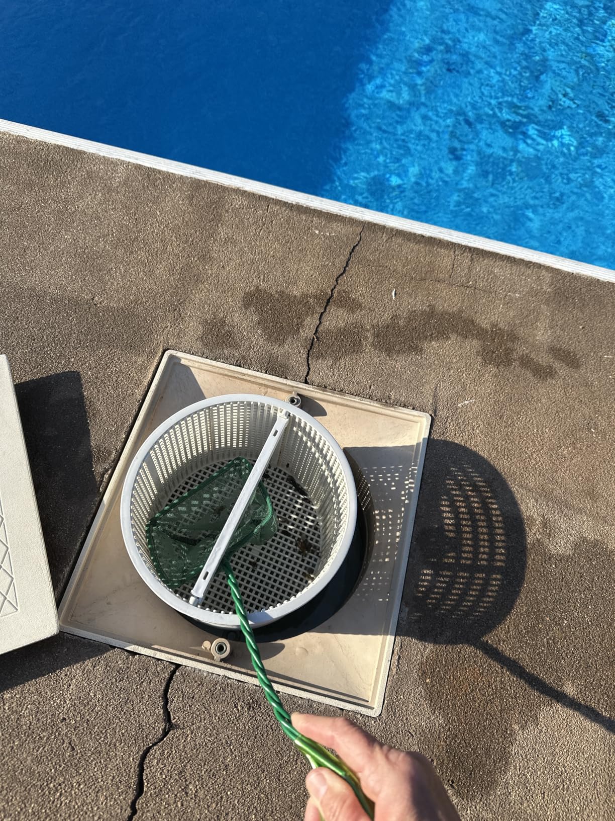 Pawfly Aquarium Fish Net with Braided Metal Handle Square Net with Soft Fine Mesh Sludge Food Residue Wastes Skimming Cleaning Net for Fish Tanks Small Koi Ponds and Pools customer photo 2