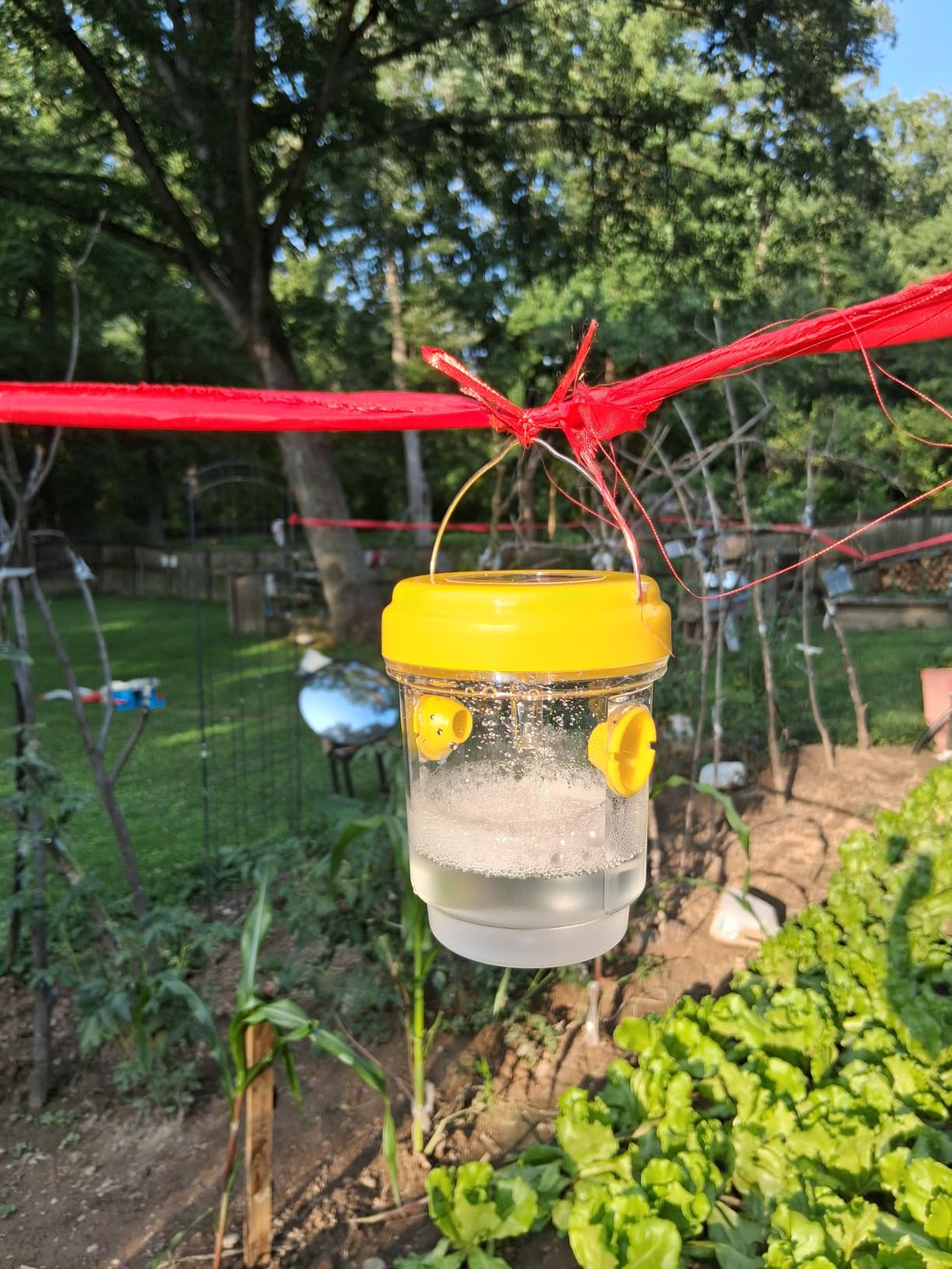 Wasp Trap Outdoor Hanging 4 Pack, Yellow Jacket Trap, Bee Traps Solar Powered, Carpenter Bee Traps for Outside, Reusable Hornet Catcher with LED Light for Garden, Farm & Orchard customer photo 1