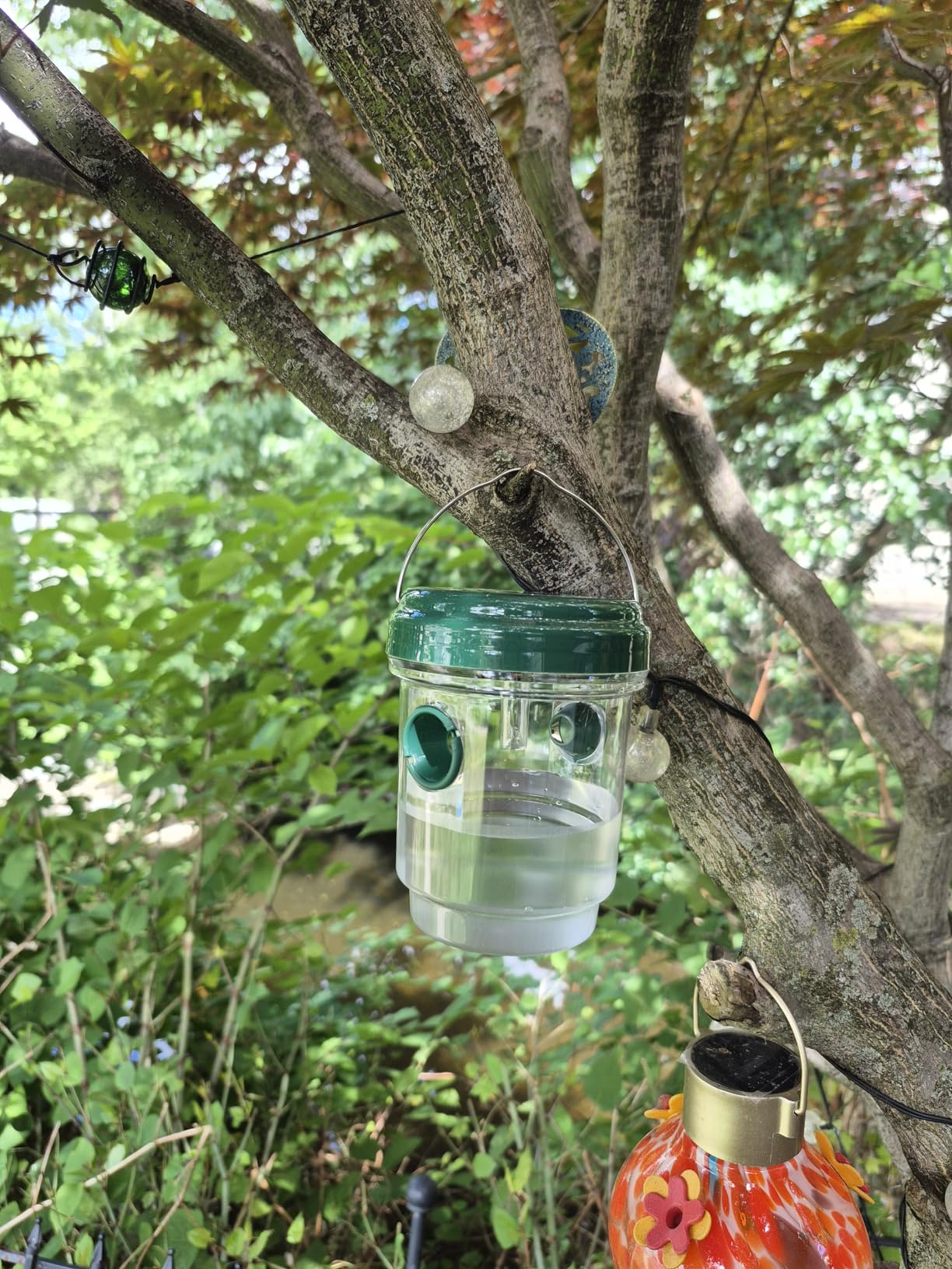 Wasp Trap Outdoor Hanging 4 Pack, Solar Powered Reusable Wasp & Yellow Jacket Trap with LED Light, Carpenter Bee Catcher for Patio, Backyard & Garden customer photo 1