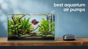 best aquarium air pumps