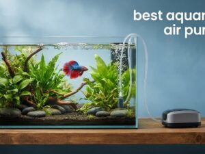 best aquarium air pumps