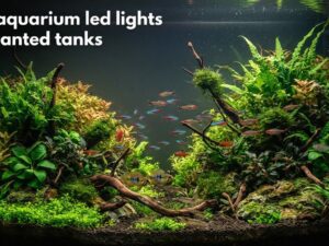 best aquarium led lights for planted tanks