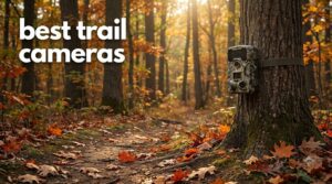 best trail cameras