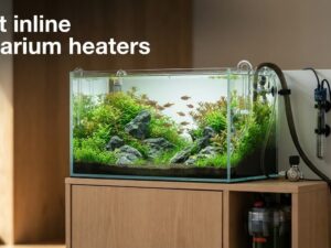 best inline aquarium heaters