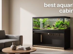 best aquarium cabinets