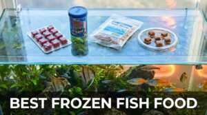 best frozen fish food