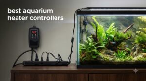 best aquarium heater controllers